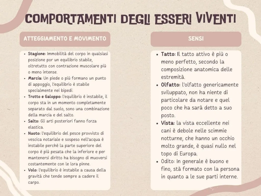 comportamenti degli essere viventi